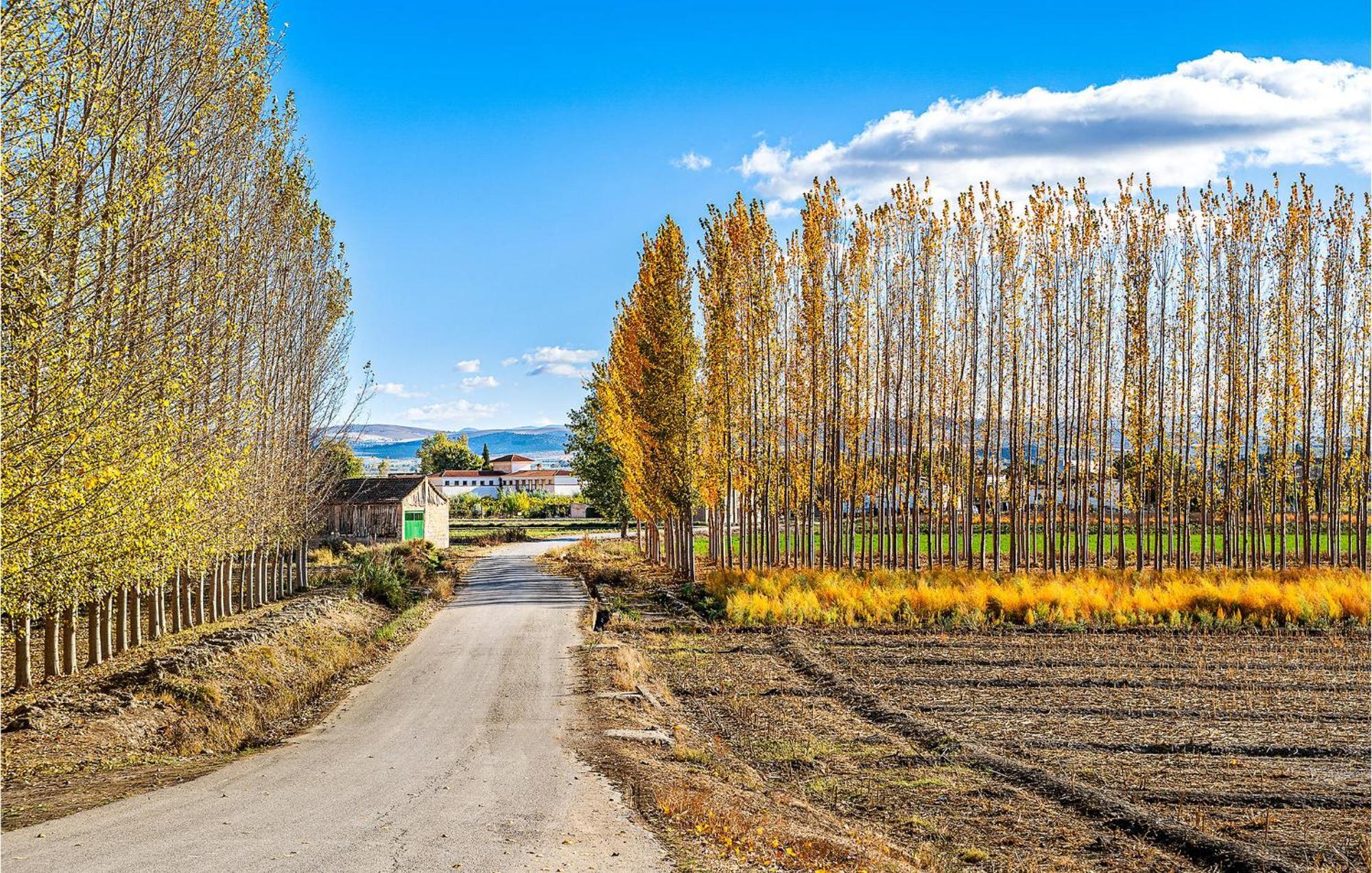 Stunning Air Conditioned House Cijuela Exterior foto